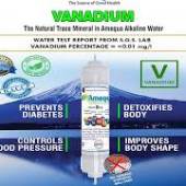 globexi GlobeXi(OPC)Private Limited